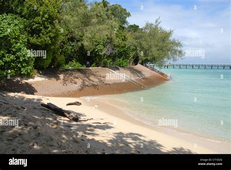 sea wall built to protect beach from erosion, Green Island, Great Barrier Reef, Queensland ...