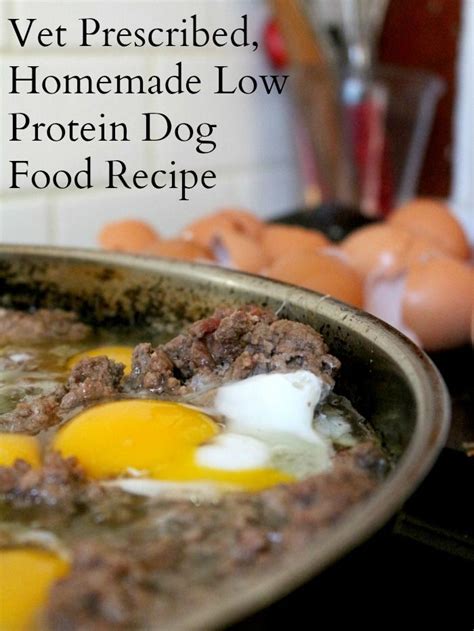 Homemade Dog Food Recipe (Low Protein) | Recipe | Healthy dog food recipes, Dog food recipes ...