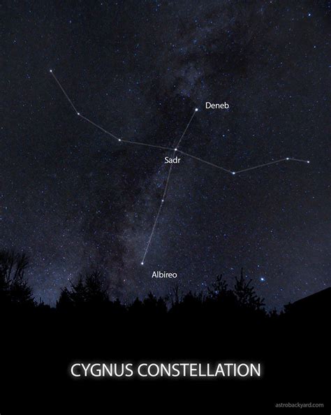 The Constellation Cygnus | Facts, Location, Photos and Mythology