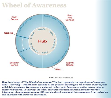 Wheel of Awareness - Matrix Works