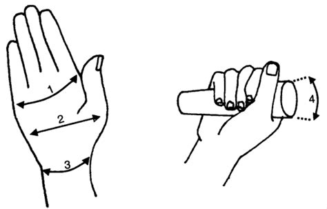 Important Hand Dimensions . Circumference of hand . Breadth of hand .... | Download Scientific ...