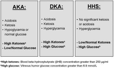 Typical diagnostic features of Alcoholic Ketoacidosis (AKA), Diabetic ... | diabetus | Med surg ...