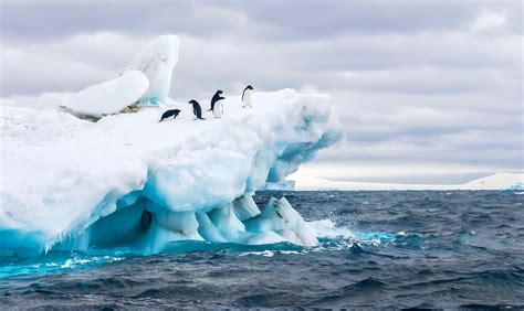 Into the Deep: An Antarctica Vacation | For the Journey of a Lifetime