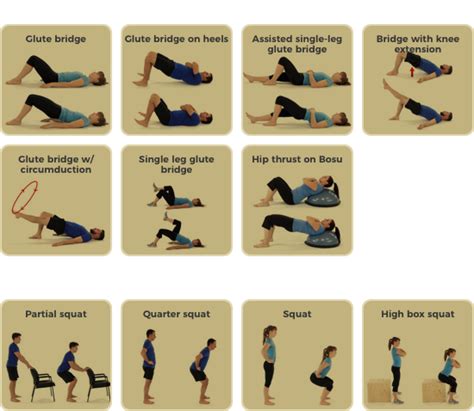 Physical Therapy Exercises - Physiotec