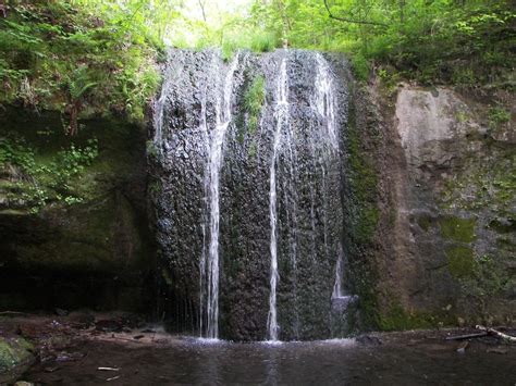 Topanga State Park | Topanga state park, State parks, Park falls