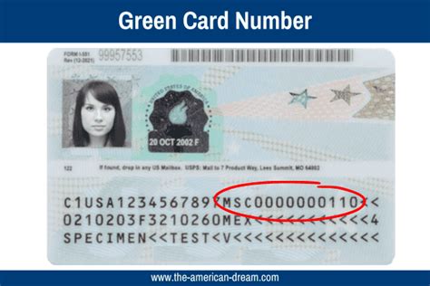 Green Card number: meaning and benefits