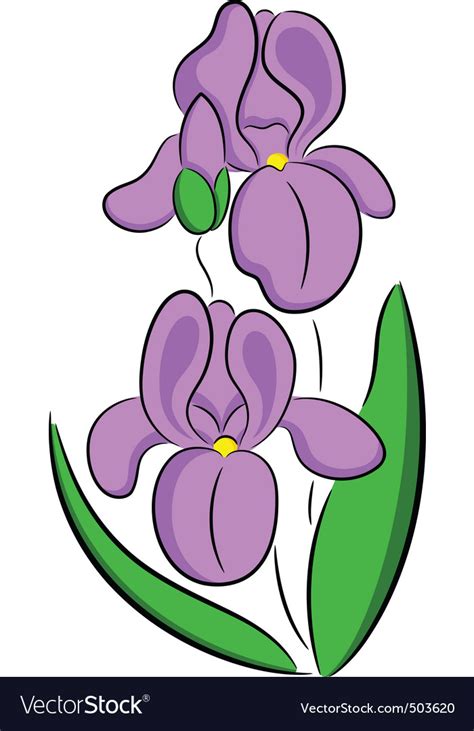 Free 62 Iris Flower Svg Free SVG PNG EPS DXF File