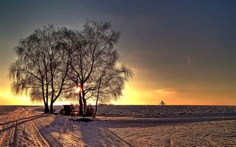 landscape, Snow, Trees Wallpapers HD / Desktop and Mobile Backgrounds