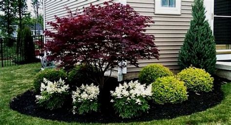 Front Yard Evergreen Landscape Garden 1 image is part of 50 Ideas to Make Evergreen Landscape Ga ...