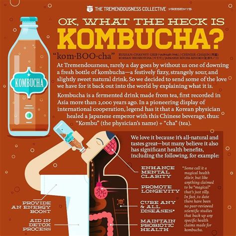 What is Kombucha? Immune System Quotes, Health And Wellbeing, Health ...