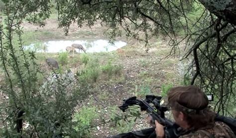 Deer Hunting With a Crossbow | How Far Do You Shoot?