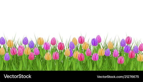 Spring floral border with colorful tulips on fresh