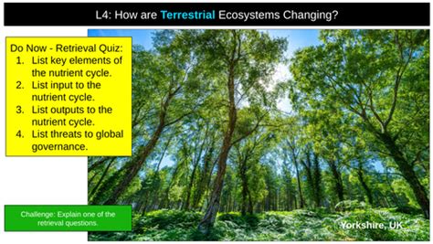 Terrestrial Ecosystems AQA | Teaching Resources