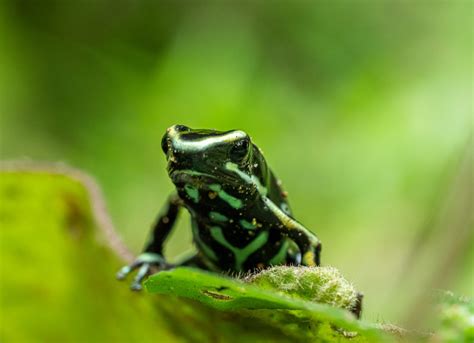 Colombia - at the heart of biodiversity - Vigilife