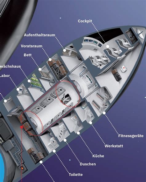 Cutaway diagram of SpaceX Starship | human Mars