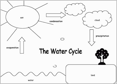 The Water Cycle Worksheets