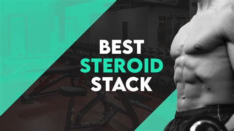 Best Bulking Workout Routine On Steroids | EOUA Blog