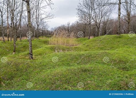 Battlefield around Verdun stock photo. Image of crater - 273983596