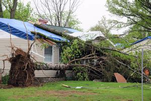 Wind Damaged Roof Repairs in Loveland, Hamilton, Cincinnati | Repair ...