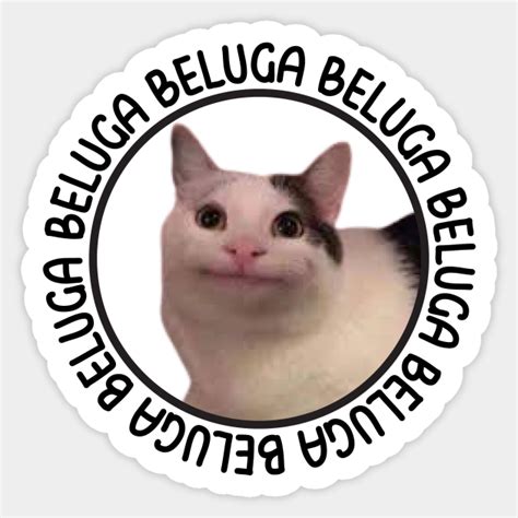 beluga cat discord meme - Beluga Cat Discord Meme - Sticker | TeePublic