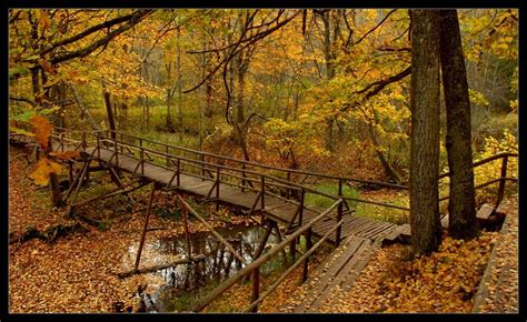 Wooden Bridges - Pack 2 ~ Cool Wallpapers