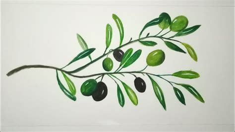 أسهل طريقة لرسم غصن الزيتون بالصباغة المائية Drawing an olive branch - YouTube