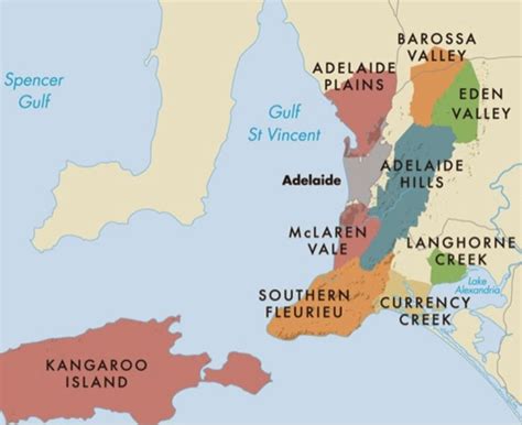 The Cellar Door Experience: Adelaide Wine Regions