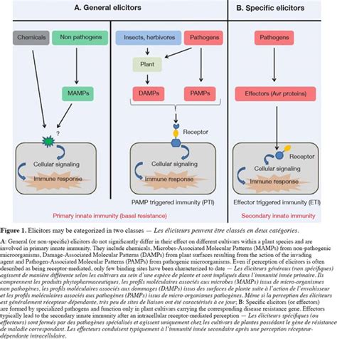 PAMPs, MAMPs, DAMPs and others: an update on the diversity of plant ...