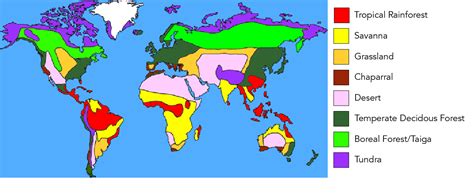 Tropical Rainforest Biome | Let's Talk Science