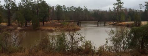 Southern Tier 2014: Day 46, MS, Weather day in Vancleave