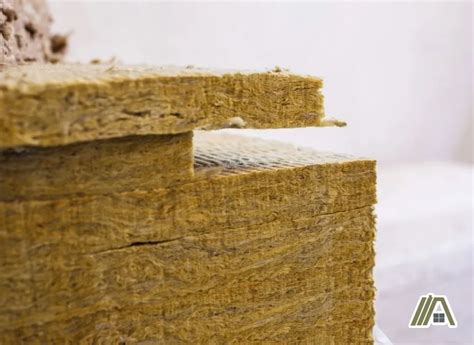 Wet Insulation | How Long Until Mold Appears? - The Tibble