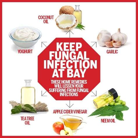 Fungal Infections and Their Home