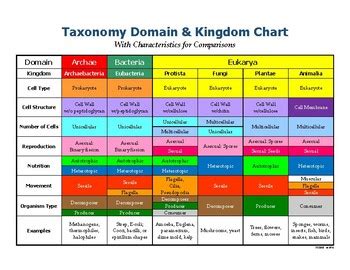 Kingdom Classification Chart/Poster by Regina ListGrace | TpT