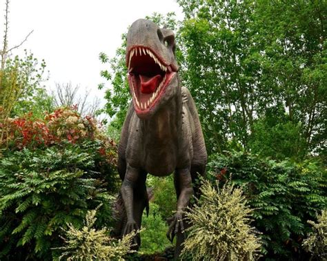 Ceratosaurus Vs. T. Rex: Fight Of The Predators