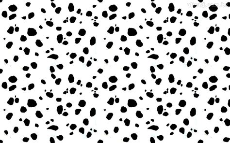 🔥 [59+] Dalmatian Backgrounds | WallpaperSafari