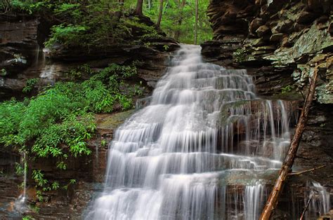 Free picture: waterfall, water,wet, ecology, stream, nature, wood, river, leaf