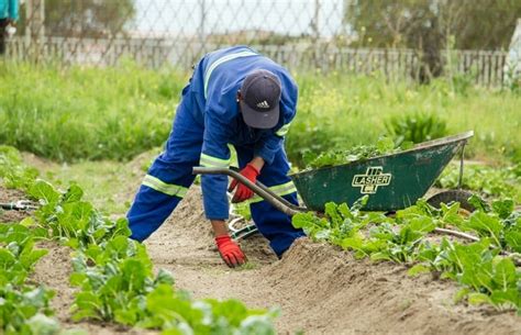 Garden labourer – Jinn