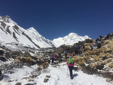 Ghorepani Poon Hill Trek - The Ultimate Guide and Itinerary - Nepal ...