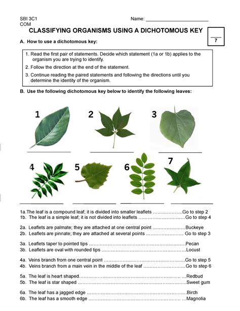 Dichotomous Key Assignment 2022 (Virtual) - SBI 3C1 Name: ________________________ COM ...