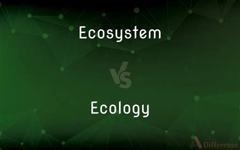 Ecosystem vs. Ecology — What’s the Difference?