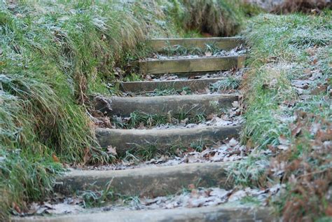 Loch Leven wildlife | Jacklyn Calvard | Flickr