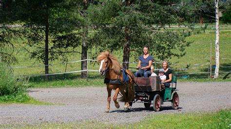 Hyvinkää's Best Natural & Cultural Attractions - Discovering Finland