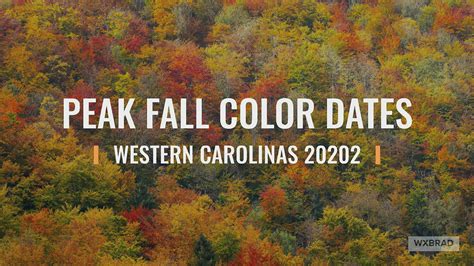 North Carolina Fall Foliage Map 2024 Free Download - Greer Teriann