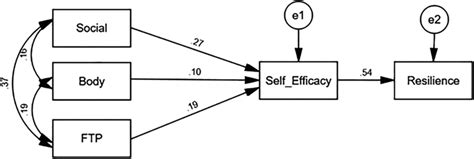 Explanatory model of resilience based on self-efficacy, social... | Download Scientific Diagram