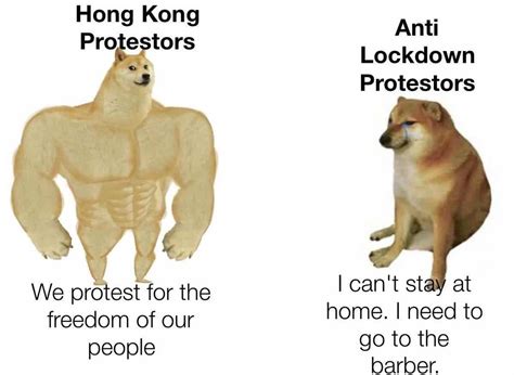 35 Of The Best Swole Doge And Cheems Memes We Had Time To Find