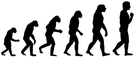 Evolución Humana timeline | Timetoast timelines