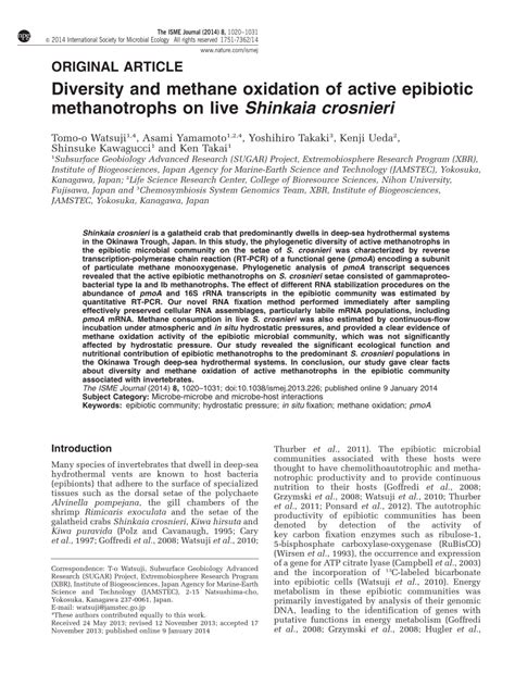 (PDF) Diversity and methane oxidation of active epibiotic methanotrophs ...