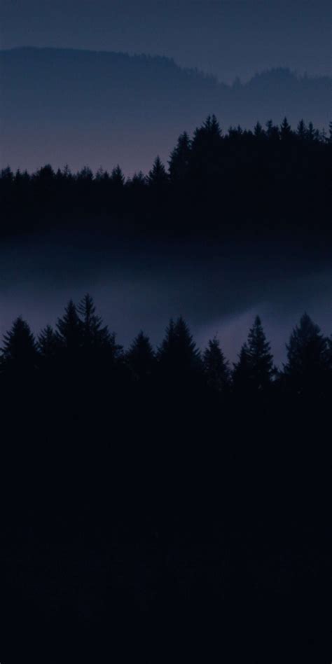 Dark Forest HD iPhone Wallpaper | Forest wallpaper iphone, Dark iphone backgrounds, Dark ...