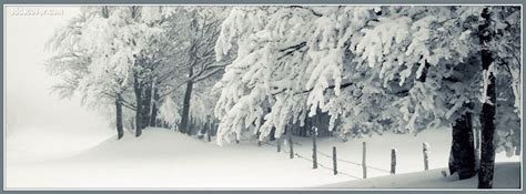 Snowy Romantic Winter Facebook Cover Photos / We have hundreds of high ...