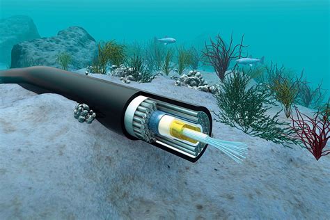 Brazil builds undersea internet cable to protect online privacy | WIRED UK